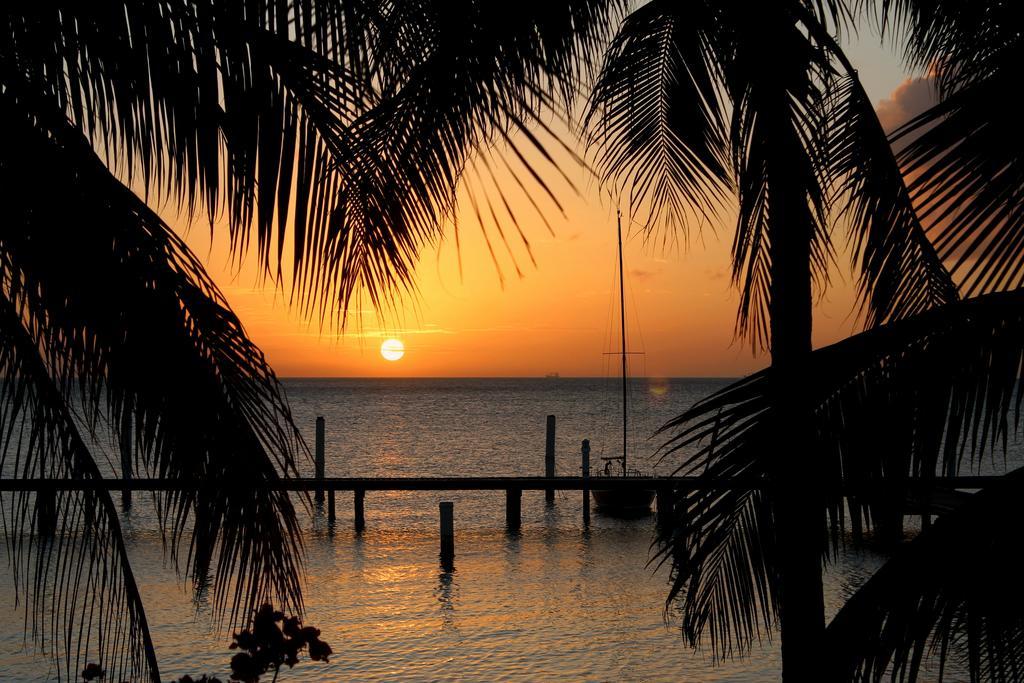 Hotel Aruba Surfside Marina Oranjestad Exteriér fotografie