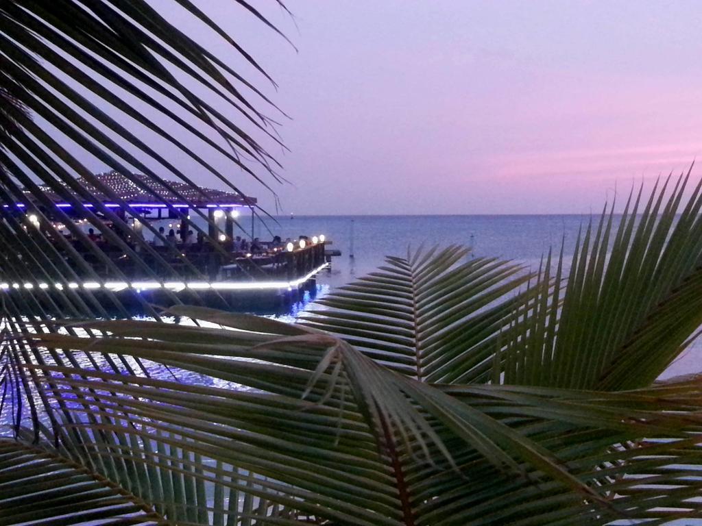 Hotel Aruba Surfside Marina Oranjestad Exteriér fotografie