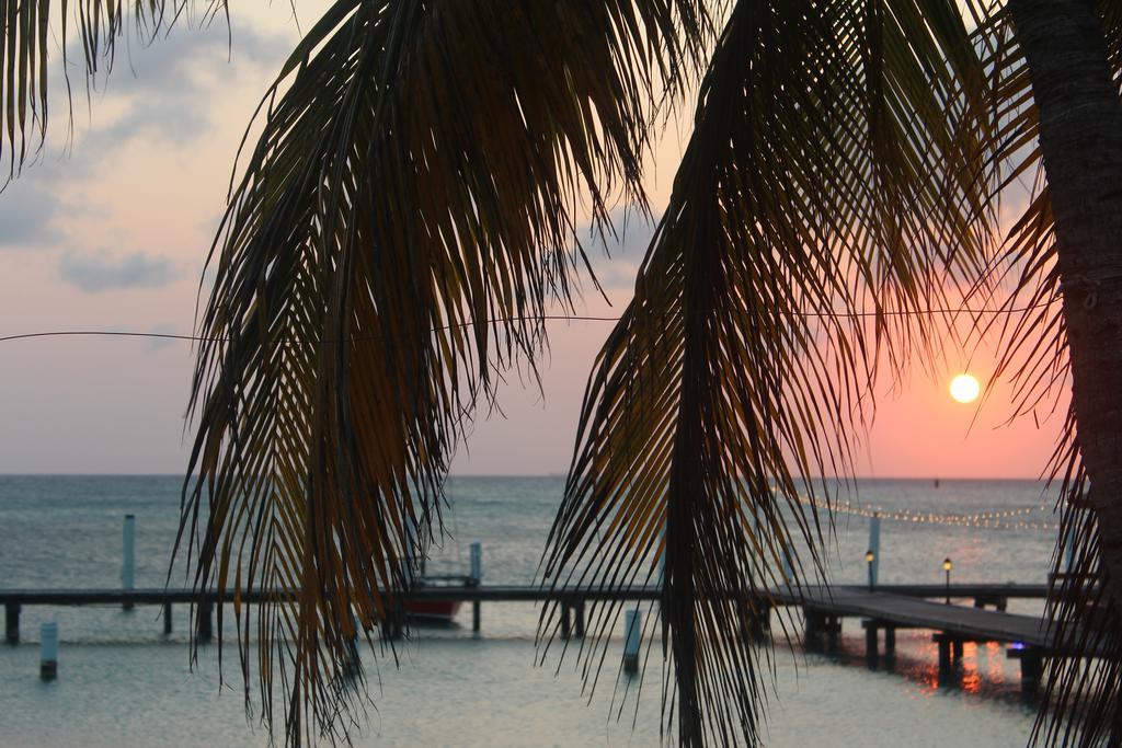Hotel Aruba Surfside Marina Oranjestad Exteriér fotografie